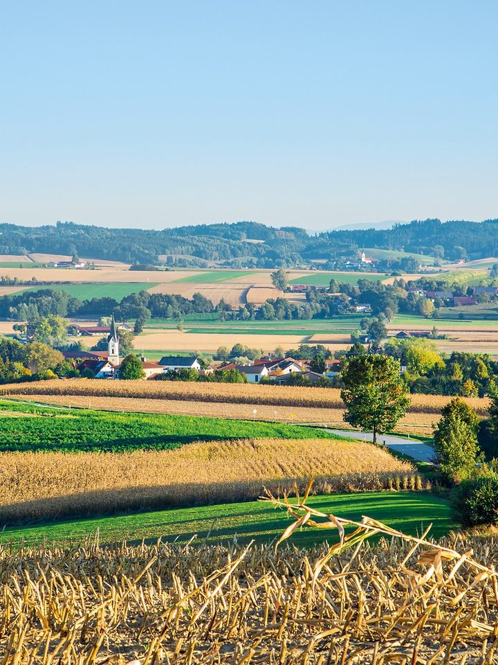 Blick über Felder, ein Dorf mit Kirche und sanfte Hügel unter blauem Himmel.