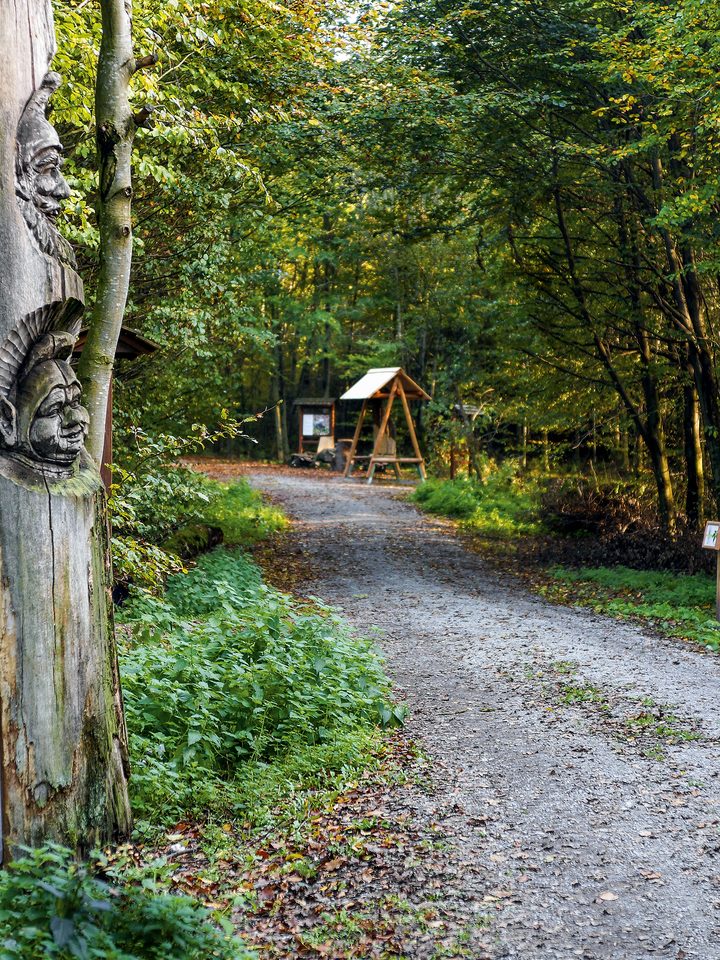 Winding gravel path in a forest with a carved tree trunk and a small rest area in the background.