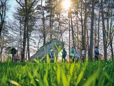 Eine Wandergruppe steht auf einer Wiese vor einem großen Felsen im Wald.