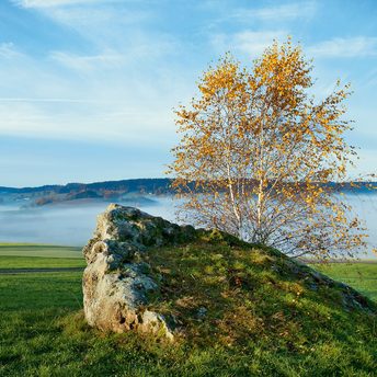 Wiesenlandschaft mit Felsen und Birke im Vordergrund, dahinter Nebel über einem Tal unter blauem Himmel.