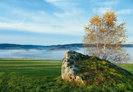Wiesenlandschaft mit Felsen und Birke im Vordergrund, dahinter Nebel über einem Tal unter blauem Himmel.