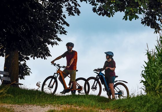 Zwei Radfahrer stehen mit ihren Fahrrädern auf einer Wiese unter einem großen Baum.