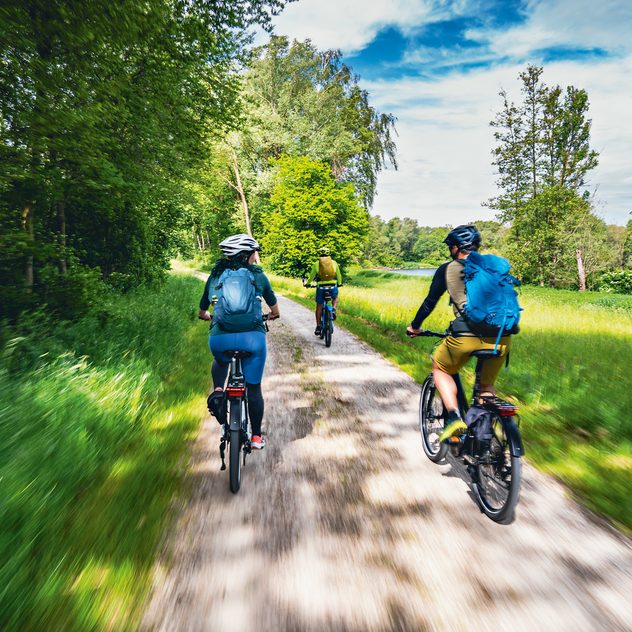 Drei Radfahrer fahren auf einem Weg durch Wald und Wiese bei sonnigem Wetter.