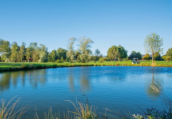 Teich vor Bäumen und Grünfläche eines Golfplatzes unter blauem Himmel.