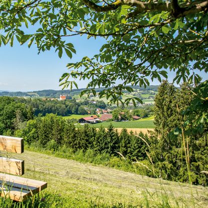 Holzbank auf einer Wiese mit Blick über Bäume, Felder und ein Dorf in hügeliger Landschaft.
