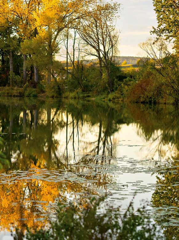 Herbst, Kurpark, Rottauenweg, Naturlehrpfad