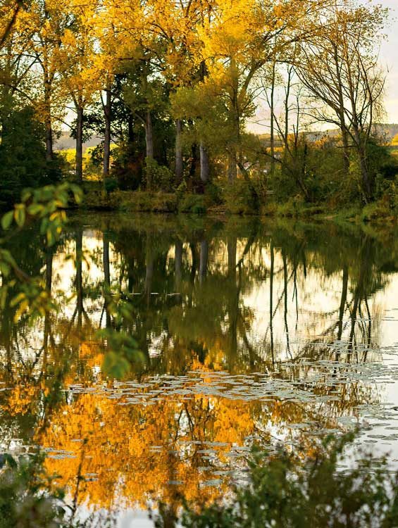 Bad-Birnbach-Herbst