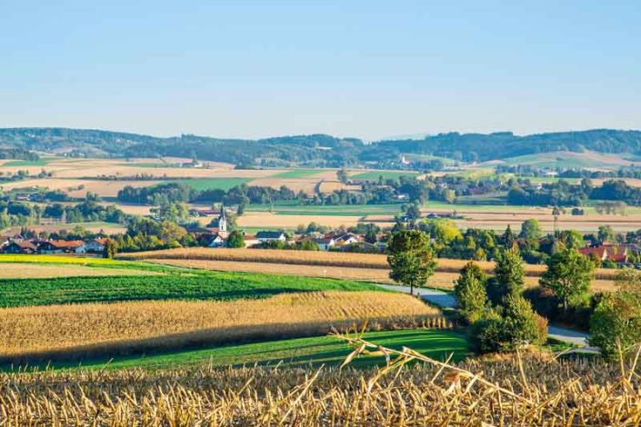 Bayerbach-Landschaft