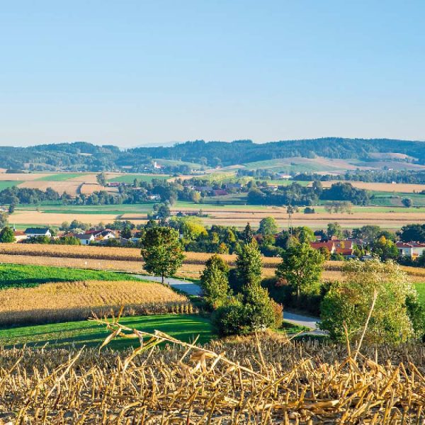 Bayerbach-Landschaft