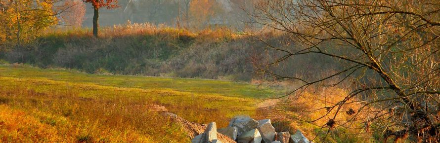 Bayerbach-Rott-im-Herbst