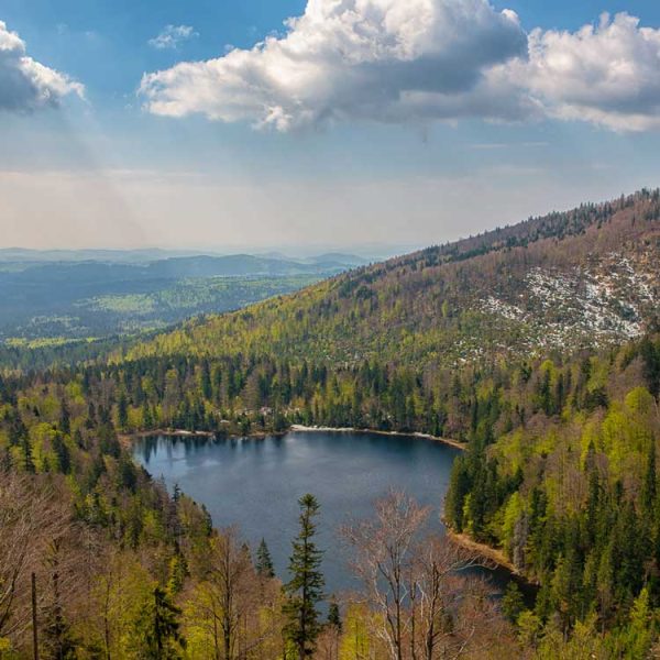 Landschaftspanorama im Bayerischen Wald mit einem kleinen Bergsee, umgeben von dicht bewaldeten Hügeln. Im Hintergrund erstrecken sich grüne Wälder bis zum Horizont unter einem Himmel mit dramatischen Wolken und Sonnenstrahlen.