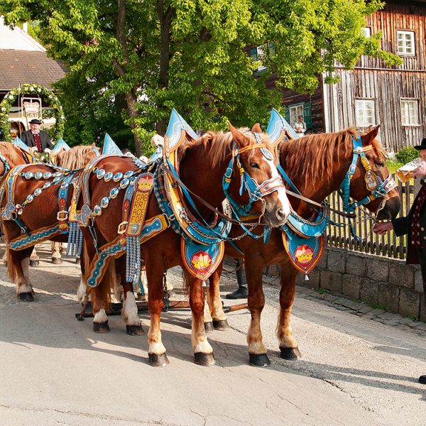 Bad Birnbach - Festzug der Brauerei Graf Arco