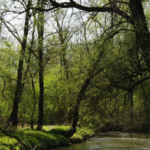 Naturlehrpfad-in-den-Rottauen