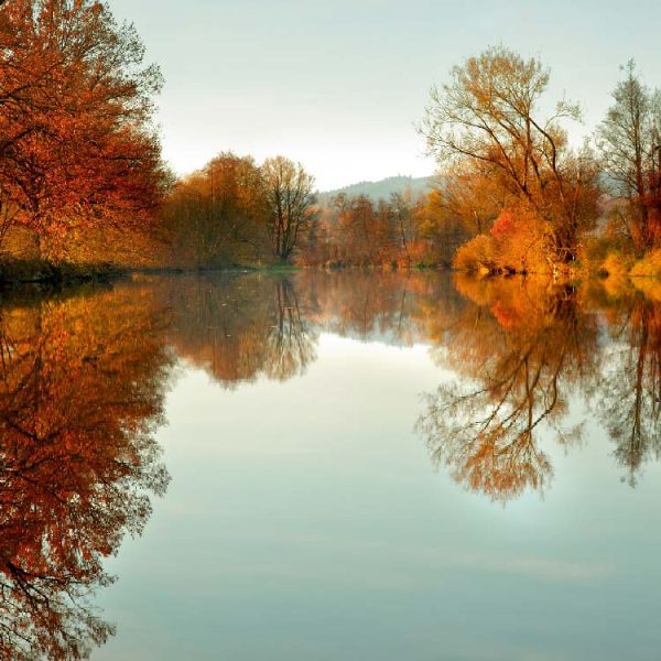 Rott-im-Herbst