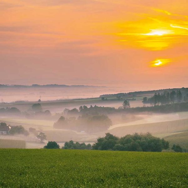 Rottal-Sonnenaufgang-im-Nebel