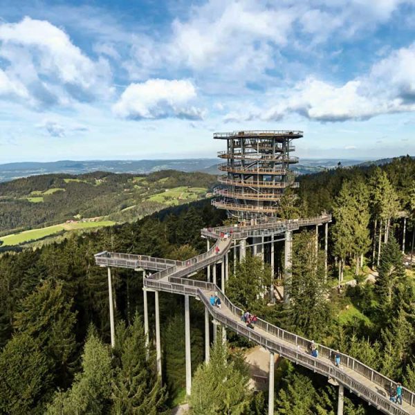 WaldWipfelWeg