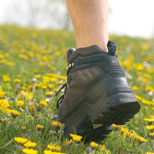 Wanderer Schuhe und Waden