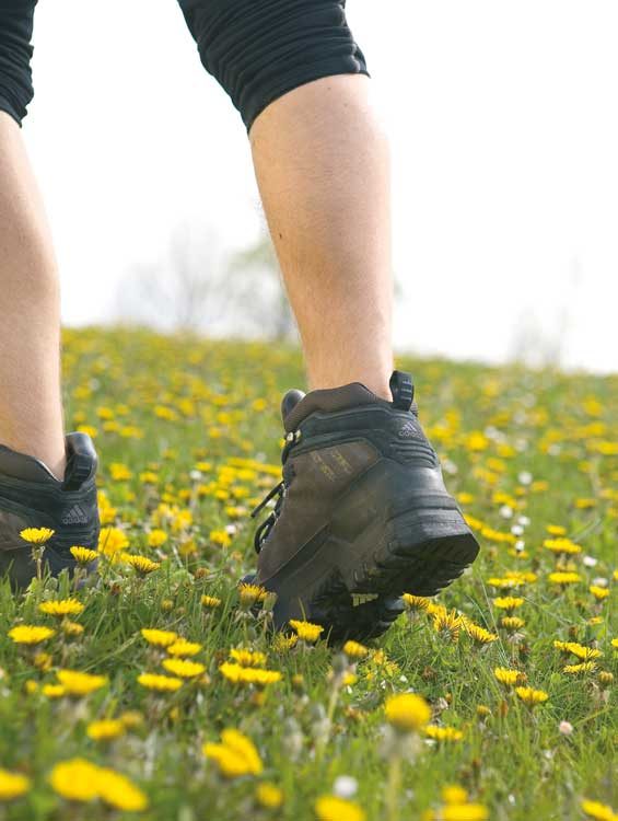 Wanderer-Schuhe-und-Waden