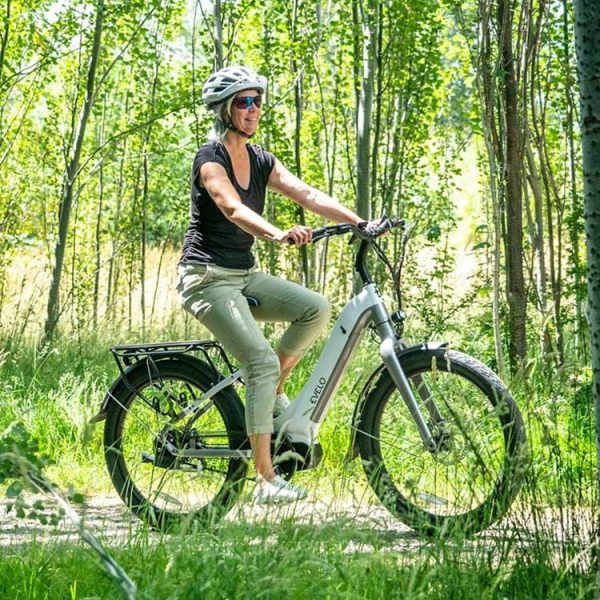 ebike_wald_fahrrad